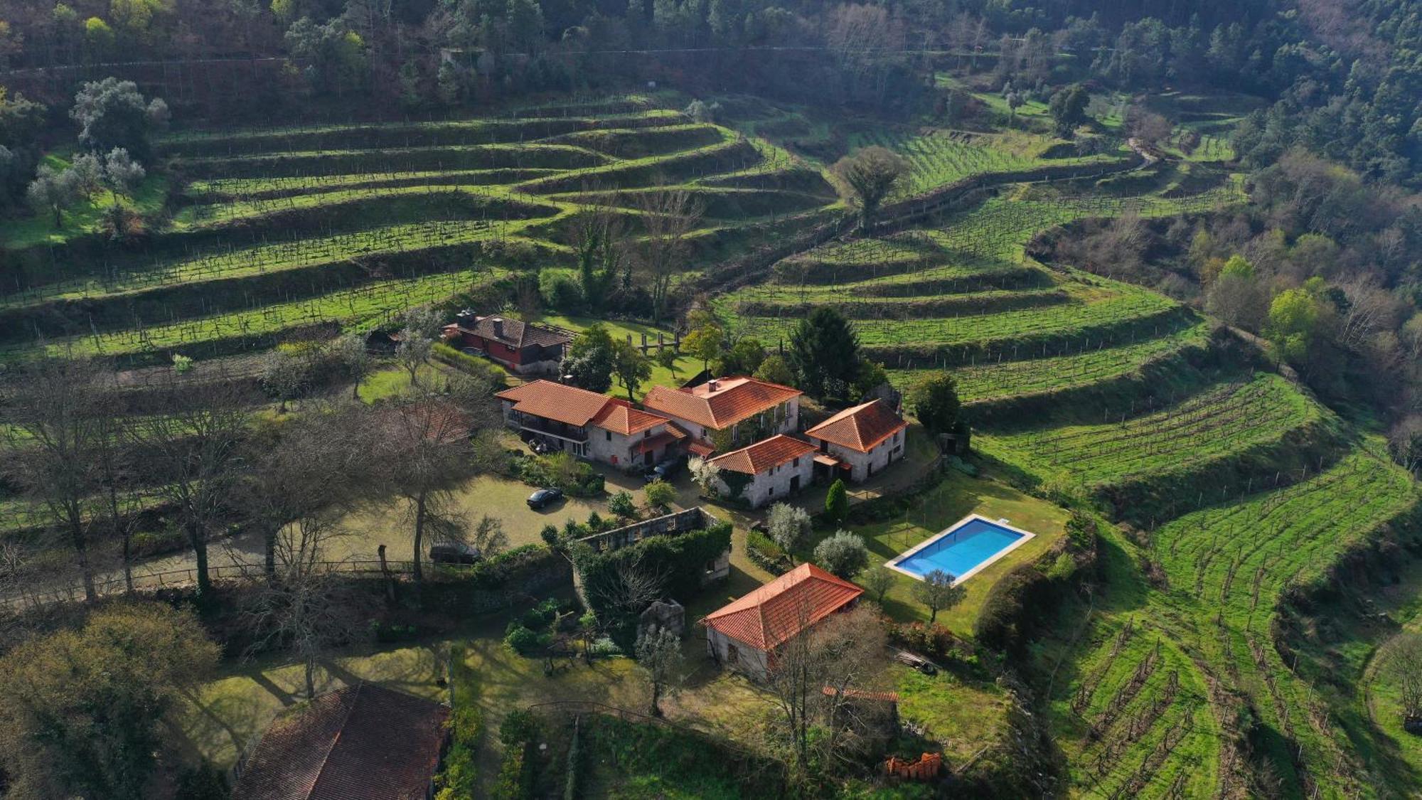 Quinta Da Pousadela - Agroturismo Amarante Dış mekan fotoğraf