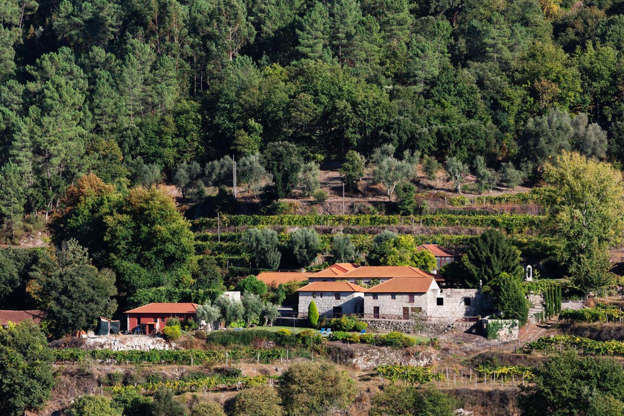 Quinta Da Pousadela - Agroturismo Konuk evi Amarante Dış mekan fotoğraf