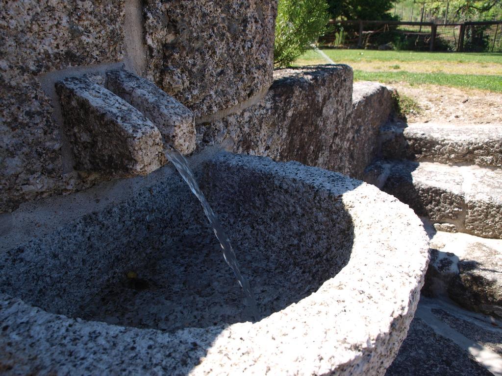 Quinta Da Pousadela - Agroturismo Amarante Dış mekan fotoğraf