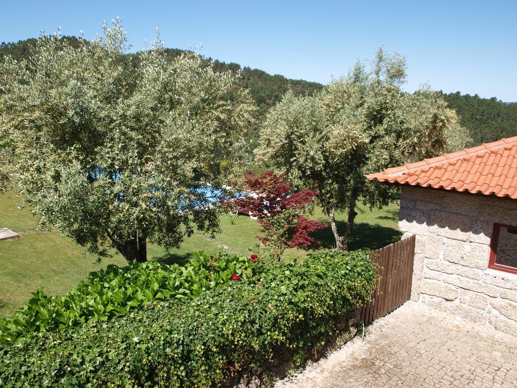 Quinta Da Pousadela - Agroturismo Konuk evi Amarante Dış mekan fotoğraf