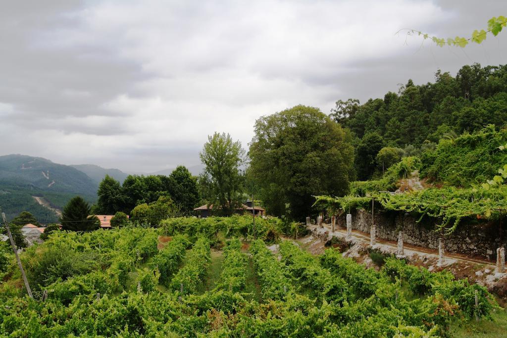 Quinta Da Pousadela - Agroturismo Konuk evi Amarante Dış mekan fotoğraf