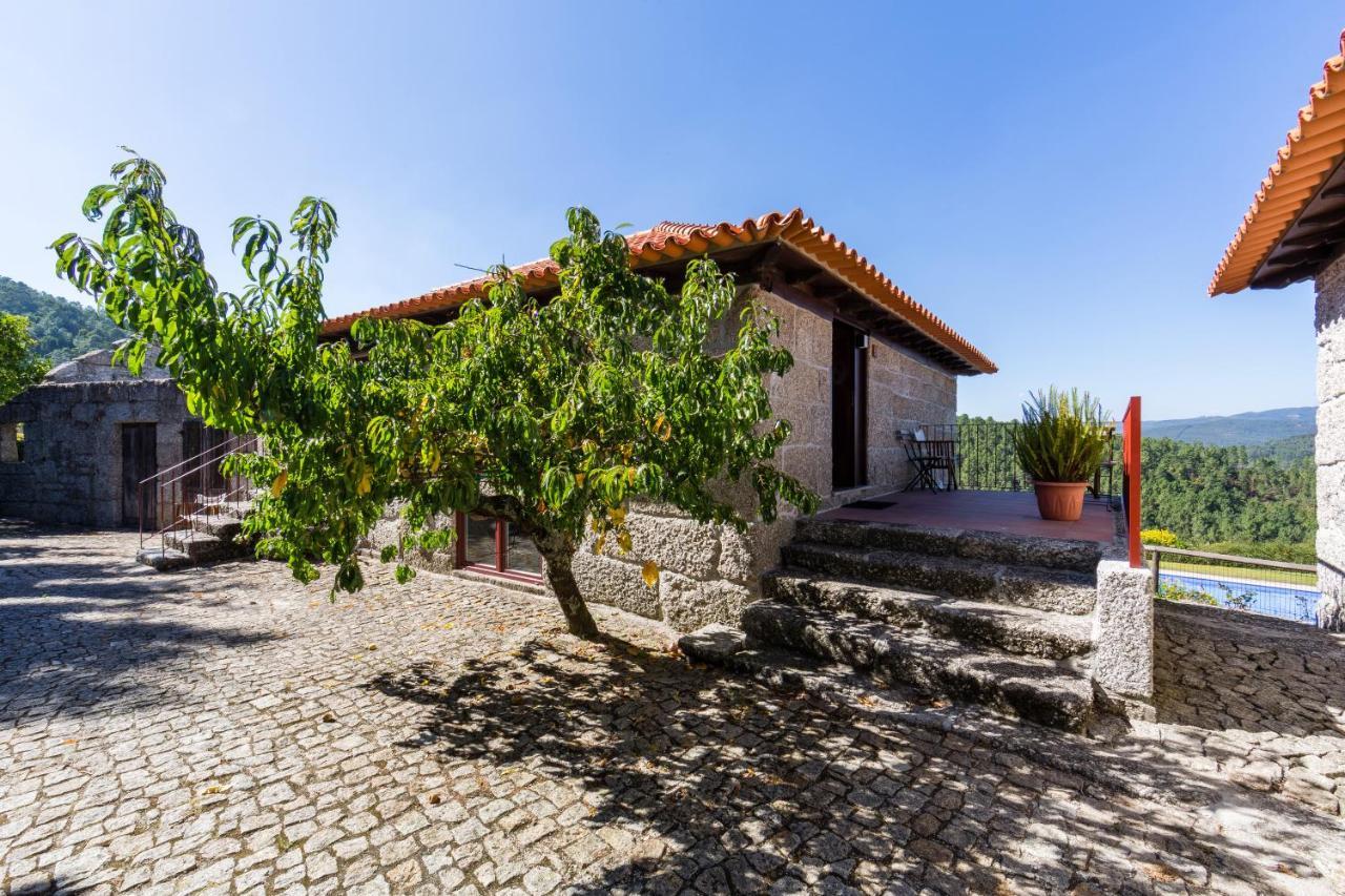 Quinta Da Pousadela - Agroturismo Konuk evi Amarante Dış mekan fotoğraf